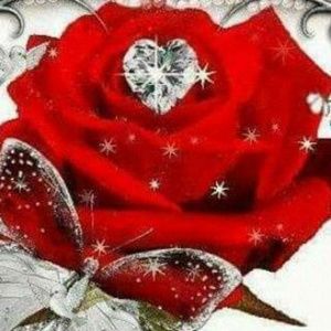 Meet your Posher, Patricia